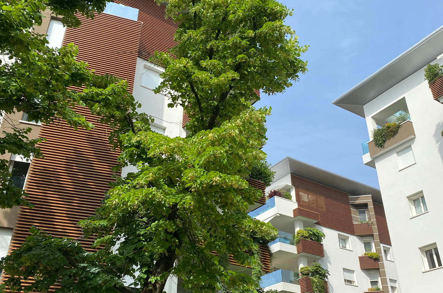 Contesto Mura Nova Palace